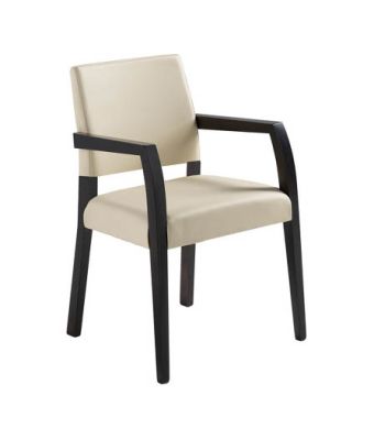 Aria Dining Chair with Arms