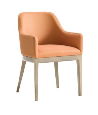 Nico Tub Chair