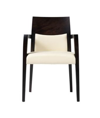 Remi Dining Chair with Arms