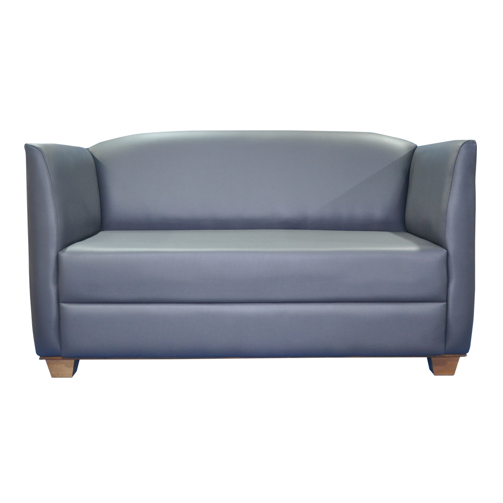 Lisburn 2 Seater Sofa - Challenging Behaviour