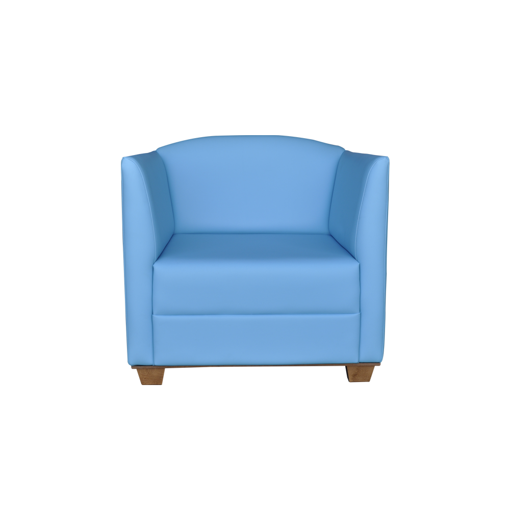 Lisburn Chair - Challenging Behaviour