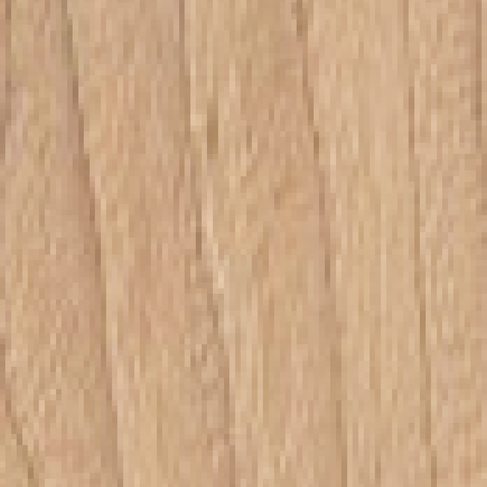 Swiss Elm