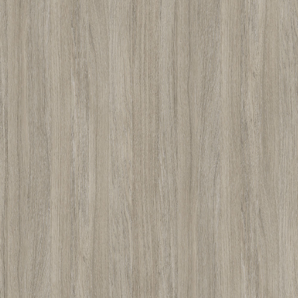 Oyster Urban Oak