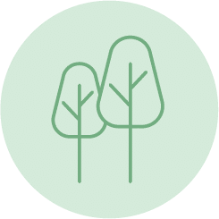 tree icon