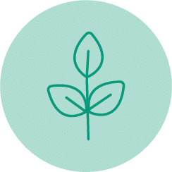stem icon